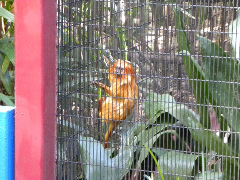 DSCN1492.JPG