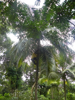 DSCN1650