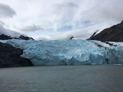 IMG 2550