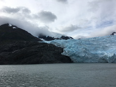 IMG 2551
