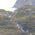 IMG 2631