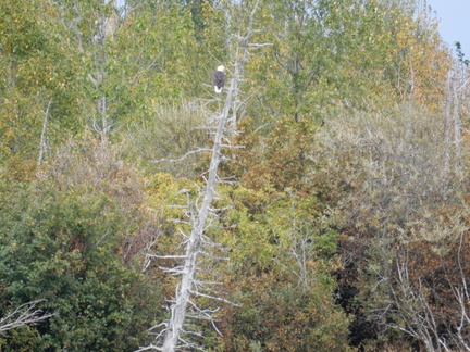 IMG 2673