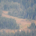 IMG 2713