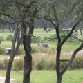 DSCN1866.JPG