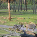 DSCN1872.JPG
