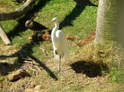 DSCN1816.JPG