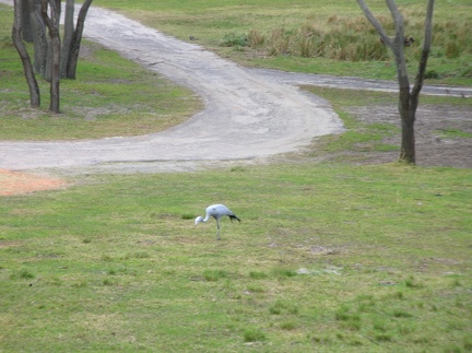 DSCN1833.JPG