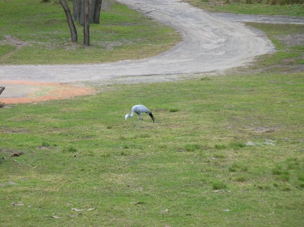 DSCN1834.JPG