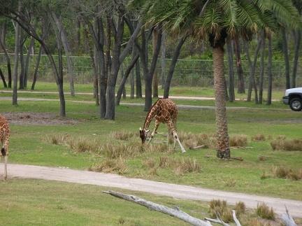 DSCN1836.JPG