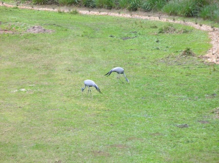 DSCN1838.JPG
