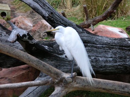 DSCN1839.JPG