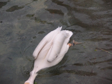 DSCN1842.JPG