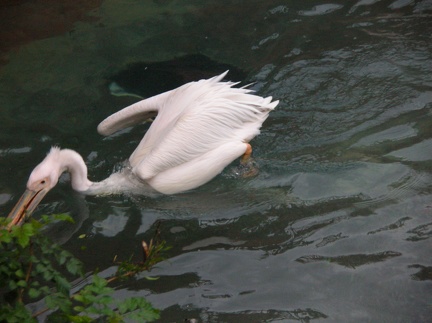 DSCN1843.JPG