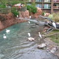 DSCN1848.JPG