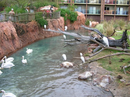 DSCN1848.JPG