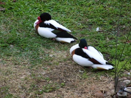 DSCN1849.JPG