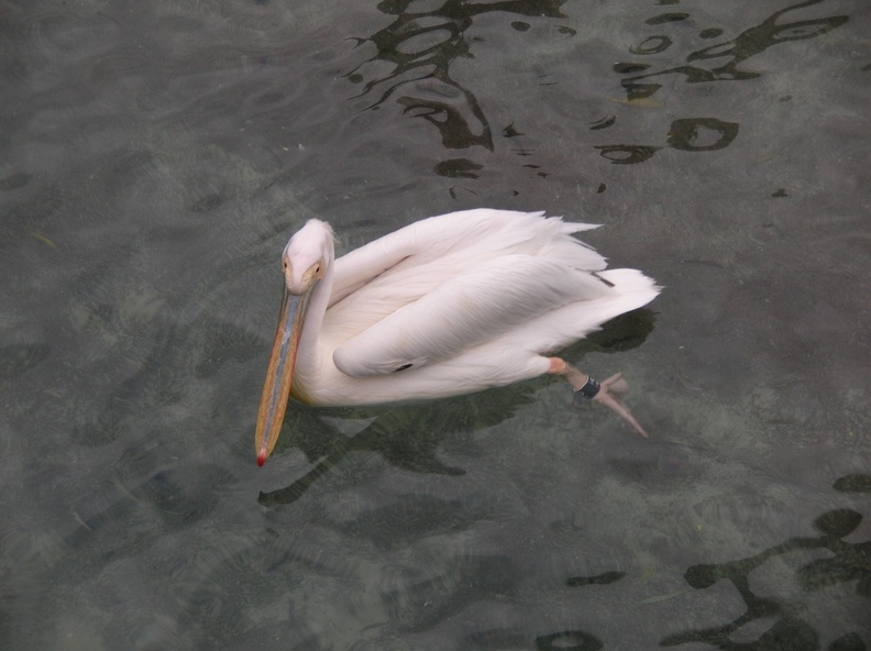 DSCN1853.JPG