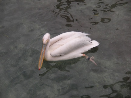 DSCN1853.JPG