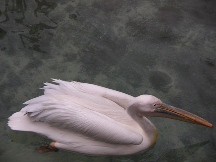 DSCN1855.JPG