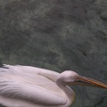 DSCN1856.JPG