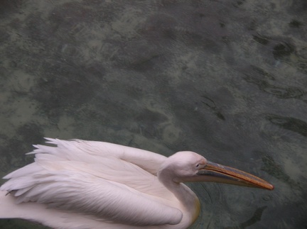 DSCN1856.JPG