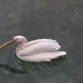 DSCN1858.JPG