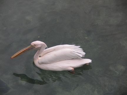 DSCN1858.JPG