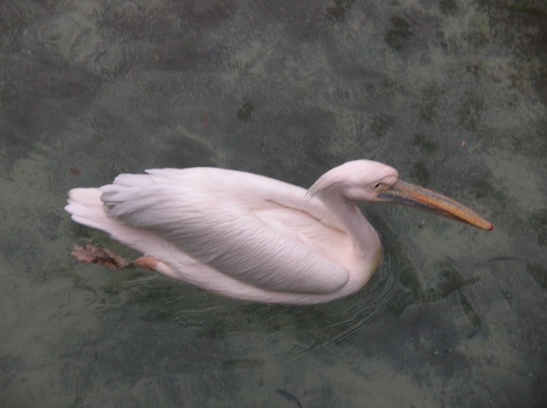 DSCN1861.JPG