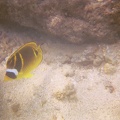 PR01021035133.jpg