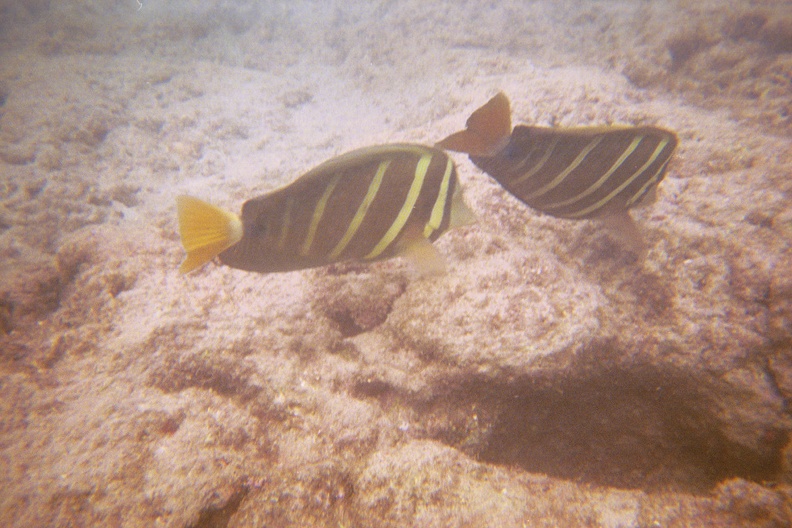 PR01021035138.jpg