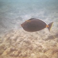 PR01021035139.jpg
