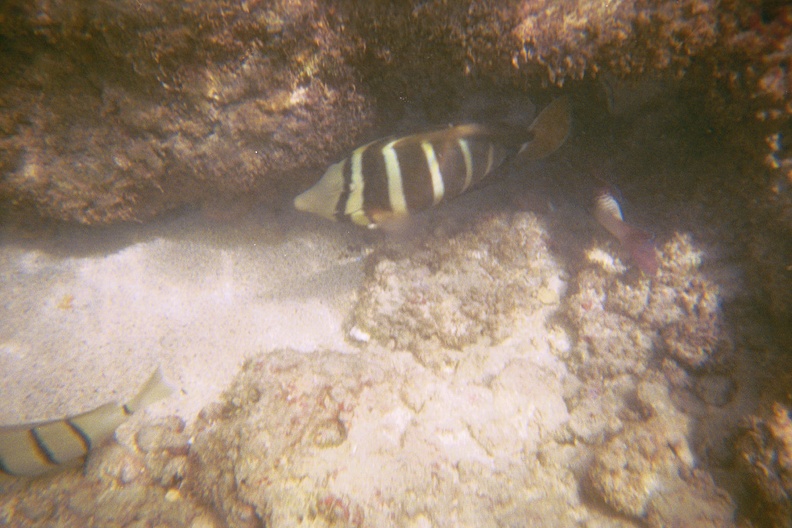 PR01021035141.jpg