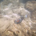 PR01021035142.jpg