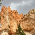 DSCN3140.JPG