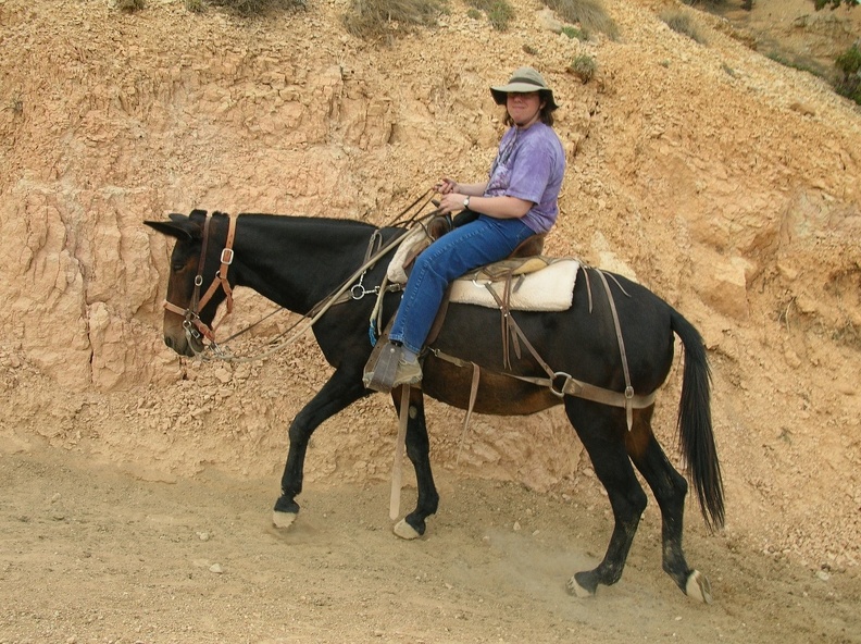 DSCN3147.JPG