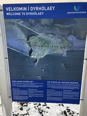 IMG 0439