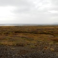 Iceland 093