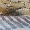 7516796576 IMG 0248