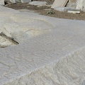 7516796576 IMG 0261
