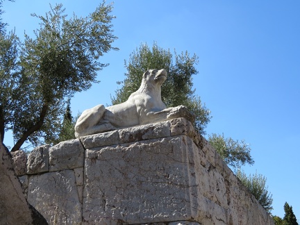 7518844048 IMG 0219