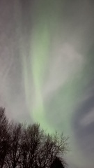 IMG 0655