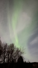 IMG 0654