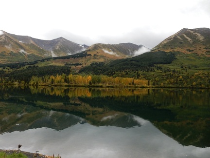 Alaska 454