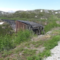 IMG 2942