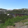 IMG 2940