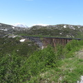 IMG 2937
