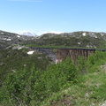 IMG 2936