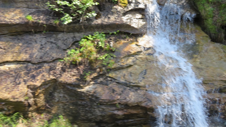 IMG_2895.JPG