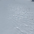IMG 0390