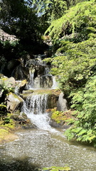 IMG 0635